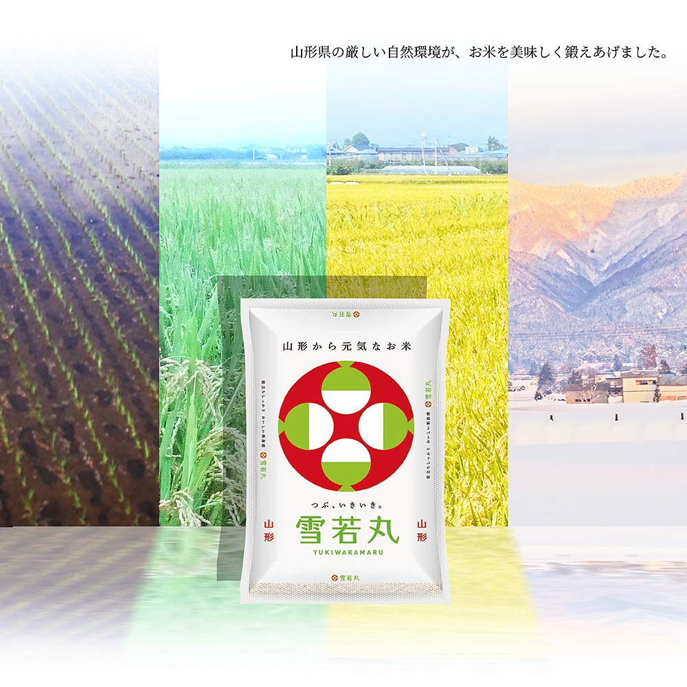 Amazon.co.jp: 【精米】山形県産 特別栽培米 白米 雪若丸 10kg 令和7
